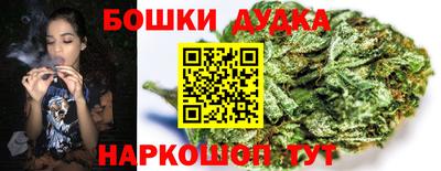 соль ск Будённовск